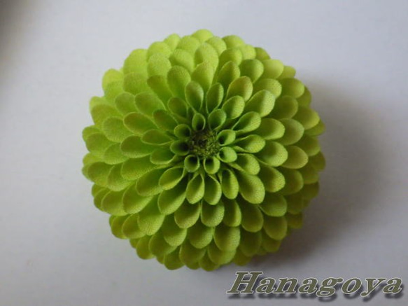 組み合わせ色々～中輪ぽんぽん菊のコサージュ＆髪飾り（黄緑） 7枚目の画像