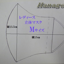 すみ様受注「夏マスク」レディースMセット 4枚目の画像