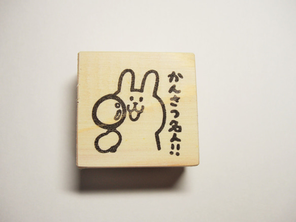 Chiwako様専用】 （ちわこ 様専用✨希少美品✨ モッズコート