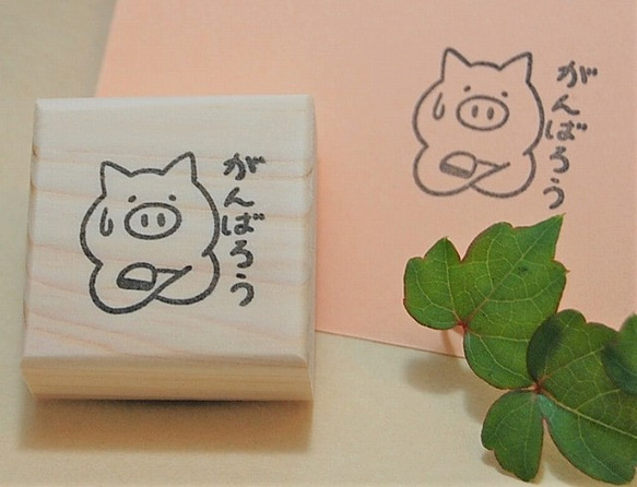  第1張的照片