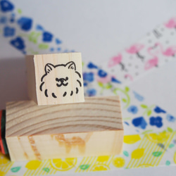 ポメラニアン　H216-44 1枚目の画像