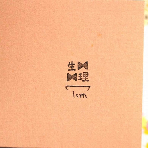  第2張的照片