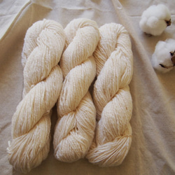 《オーダー品》 羊と綿の研究室 watanoito (手紡ぎ糸) 1枚目の画像