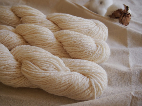 《オーダー品》 羊と綿の研究室 watanoito (手紡ぎ糸) 2枚目の画像