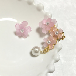 春待ち桜のイヤーカフset 1枚目の画像