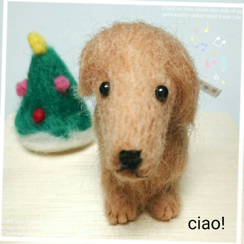 羊毛フェルト犬　ミニチュアダックスフンド リアルペット】ミニチュアダックスフンドのぬいぐるみ①【作り方