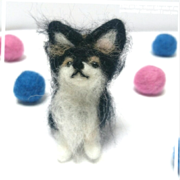 羊毛フェルト ロングコートチワワ ブラックタン ロングコートチワワ