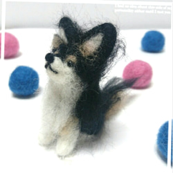 ロングコートチワワ（ブラックタン&ホワイト）・羊毛フェルト・犬 3枚目の画像