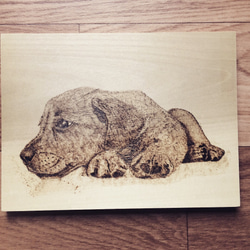 ウッドバーニングアート 犬 1枚目の画像