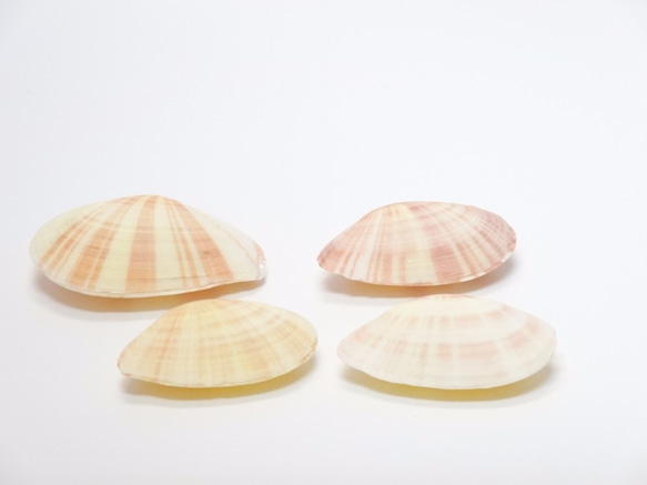 ［自然素材エコクラフト　貝殻］　no,054　スヌーピー（ペア） 1枚目の画像