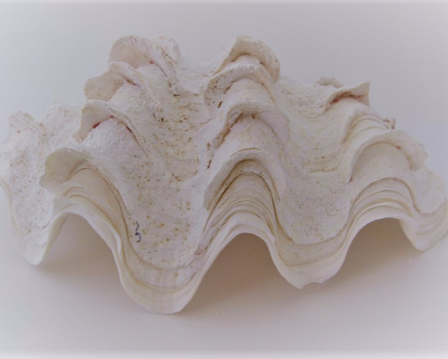 0_4076d15d8412d1d3b1ae61c7d07e