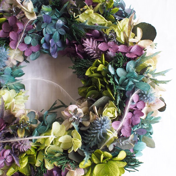 Wreath＊winter hydrangea 3枚目の画像