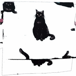黒猫の名古屋帯(オフホワイト) かわいい柄です(*´ω｀*) 送料無料♪ 1枚目の画像