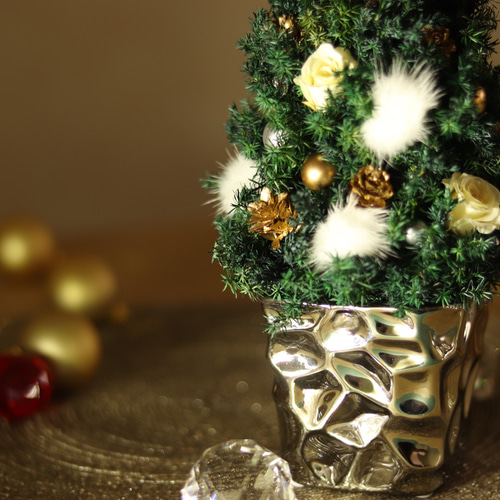 専用＊Christmas＊ブリキアレンジ(スモークツリー) 57e1d72828d020fcc81f1f9ebcfe12