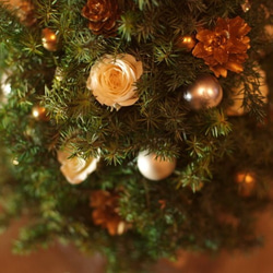 【早割価格】　　　シンプル大人のクリスマスツリー 　 2枚目の画像