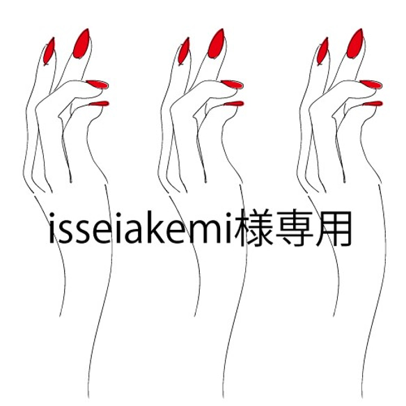 isseiakemi様専用 1枚目の画像