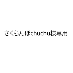 さくらんぼchuchu様専用 1枚目の画像