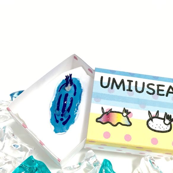 UMIUSEA(ウミウシー) 1枚目の画像