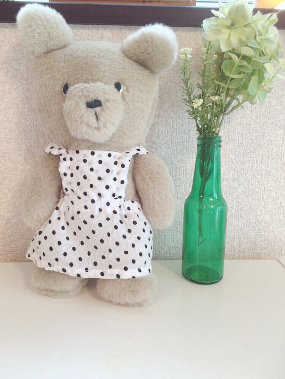 くまのフラッペちゃん ぬいぐるみ liontiger 通販 2571806