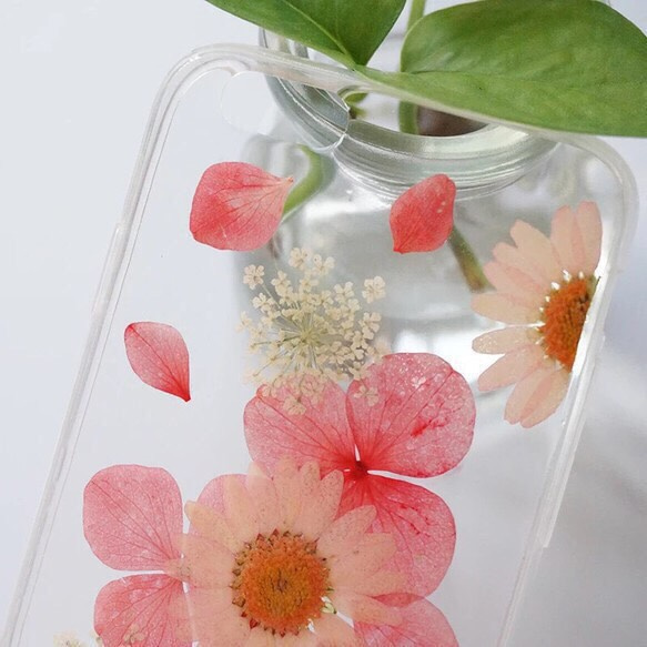 本物のお花 押し花を使用した iphone 5/5s 6/6s スマホケース アンミ・マユス 紫陽花 3枚目の画像