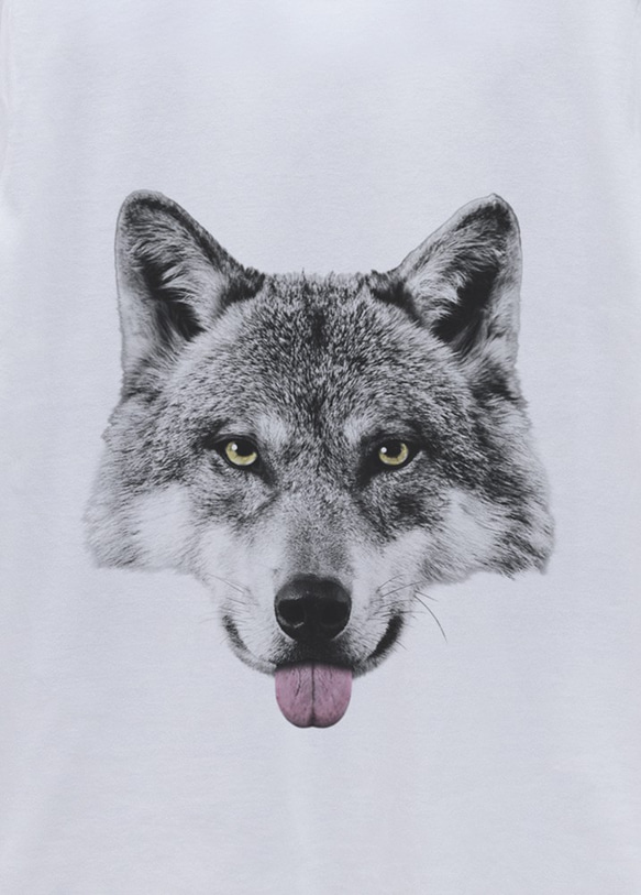 ronronWOLF Tee Beh（白色）/ R022-T-WH 第2張的照片