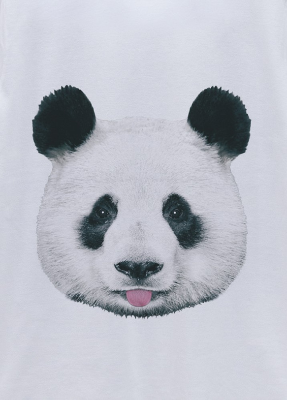 ronronPANDA Tee Beh（白色）/ R024-T-WH 第2張的照片