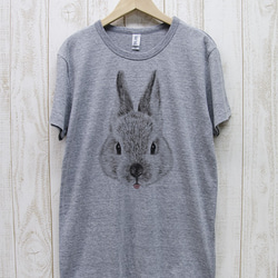 ronronRABIT Tee Beh（希瑟·格雷）/ R032-TT-GR 第1張的照片