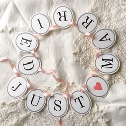 JUST ♡ MARRIED banner. Choose ribbon color. Bunting garland. 第1張的照片