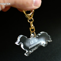 ワンちゃんキーホルダー　名前入れます！ 3枚目の画像