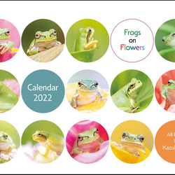 FROGS on FLOWERS 卓上カレンダー2022 1枚目の画像
