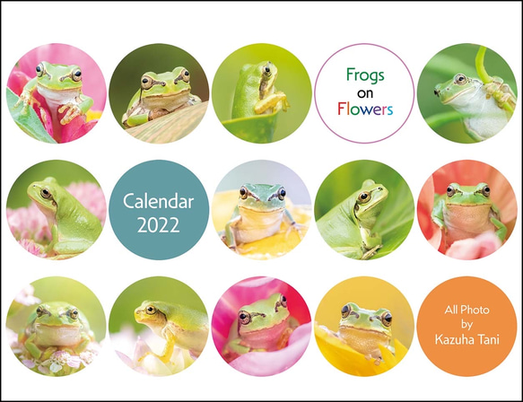 FROGS on FLOWERS 卓上カレンダー2022 1枚目の画像