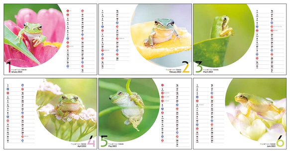 FROGS on FLOWERS 卓上カレンダー2022 2枚目の画像