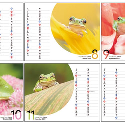 FROGS on FLOWERS 卓上カレンダー2022 3枚目の画像