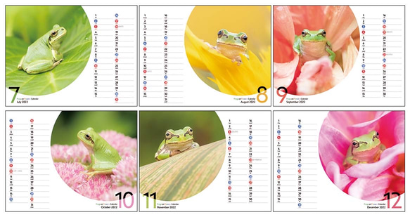 FROGS on FLOWERS 卓上カレンダー2022 3枚目の画像