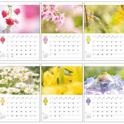 FROGS on FLOWERS 壁掛けカレンダー2022 2枚目の画像