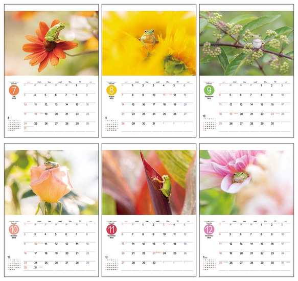 FROGS on FLOWERS 壁掛けカレンダー2022 3枚目の画像