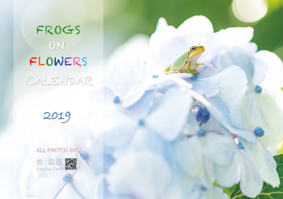 FROGS on FLOWERS CALENDAR 2019　特典ポストカード(1枚) 付き 1枚目の画像