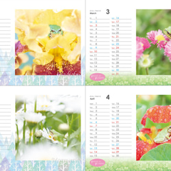 FROGS on FLOWERS CALENDAR 2019　特典ポストカード(1枚) 付き 2枚目の画像