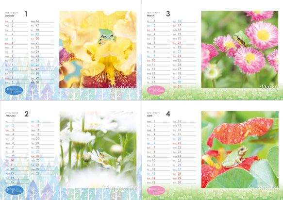 FROGS on FLOWERS CALENDAR 2019　特典ポストカード(1枚) 付き 2枚目の画像