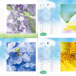 FROGS on FLOWERS CALENDAR 2019　特典ポストカード(1枚) 付き 3枚目の画像