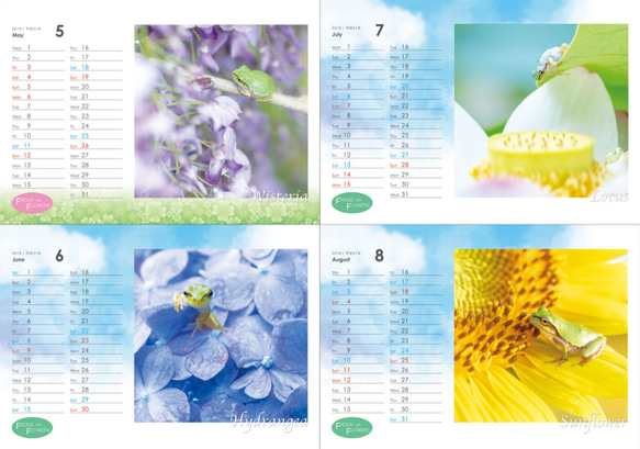 FROGS on FLOWERS CALENDAR 2019　特典ポストカード(1枚) 付き 3枚目の画像