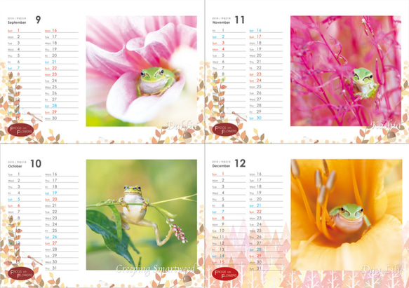 FROGS on FLOWERS CALENDAR 2019　特典ポストカード(1枚) 付き 4枚目の画像