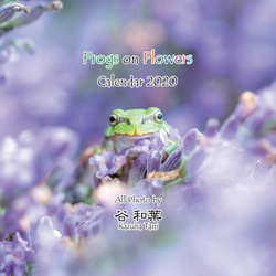 2020年 [ FROGS on FLOWERS ] カエルカレンダー 1枚目の画像