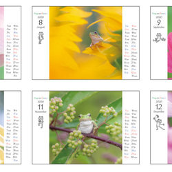 2020年 [ FROGS on FLOWERS ] カエルカレンダー 5枚目の画像