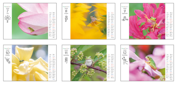 2020年 [ FROGS on FLOWERS ] カエルカレンダー 5枚目の画像