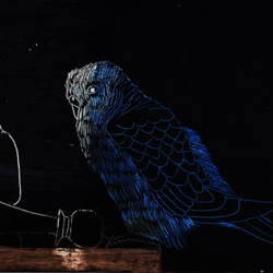 【組み合わせ】　ポストカード５枚セット　Ｃ０２５９　長考 1枚目の画像