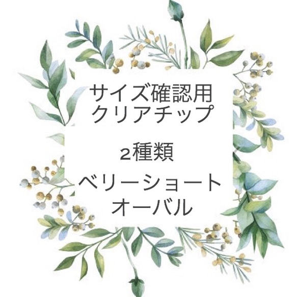 サイズ確認用 チップ  2種類 1枚目の画像