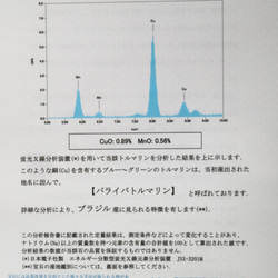  第10張的照片