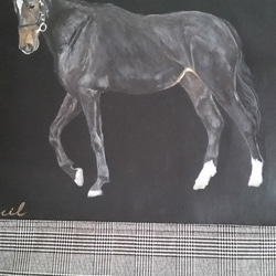 　Ｈ－１０　　　手描き　馬のクッションカバーです 3枚目の画像
