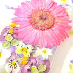 【全機種対応】再販☆ピンクガーベラとビオラの押し花スマホケース 3枚目の画像